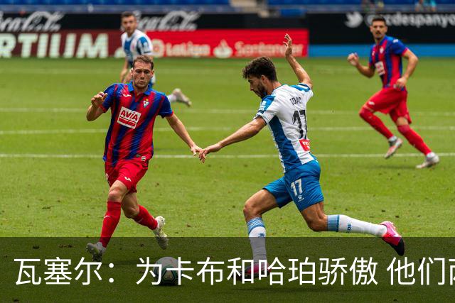 瓦塞尔：为卡布和哈珀骄傲 他们两个都有着不可限量的未来